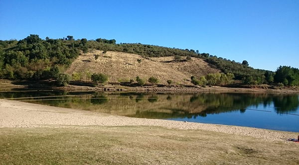zdjęcie zbiornika wodnego na tle wzgórza