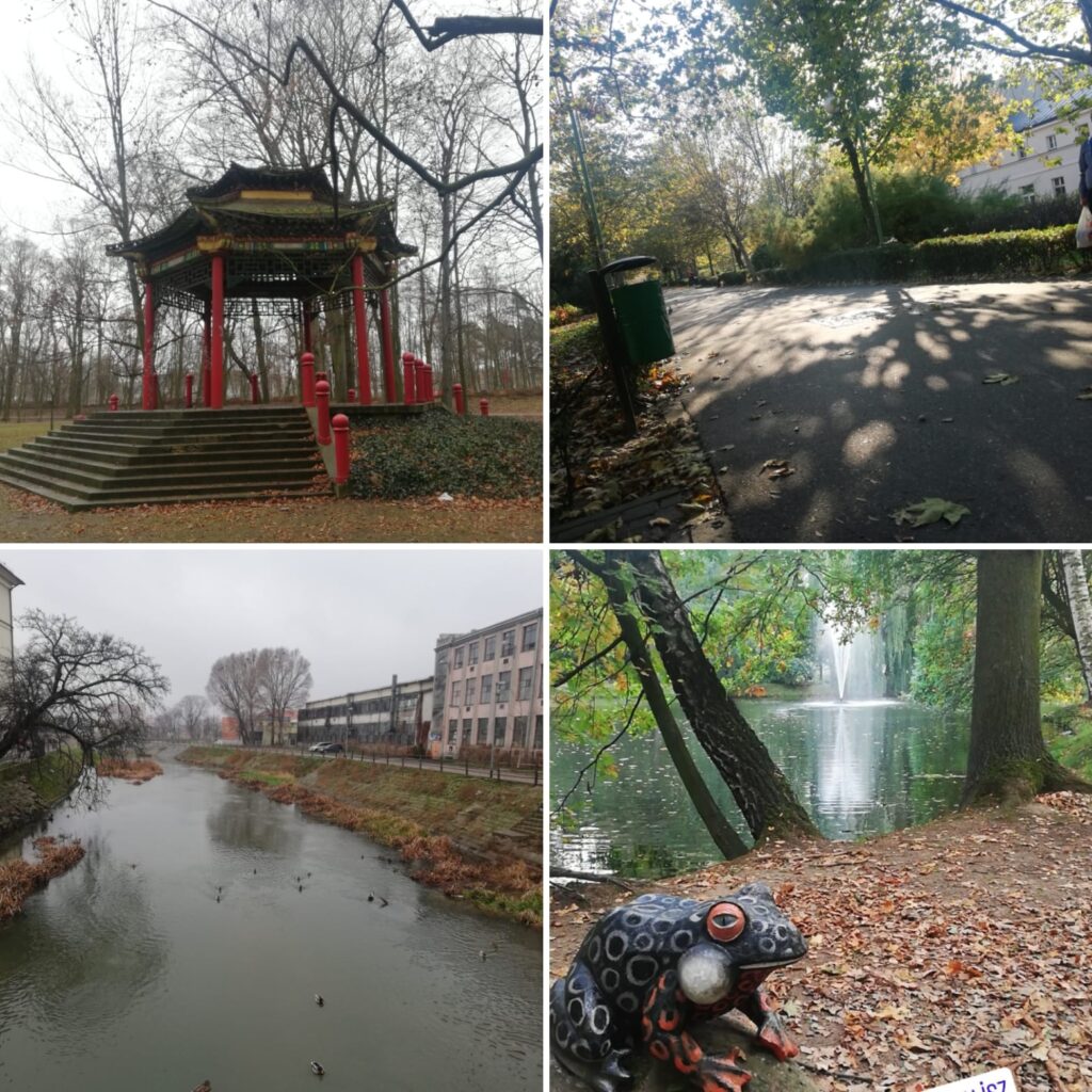 Cztery ilustracje z parku w Kaliszu