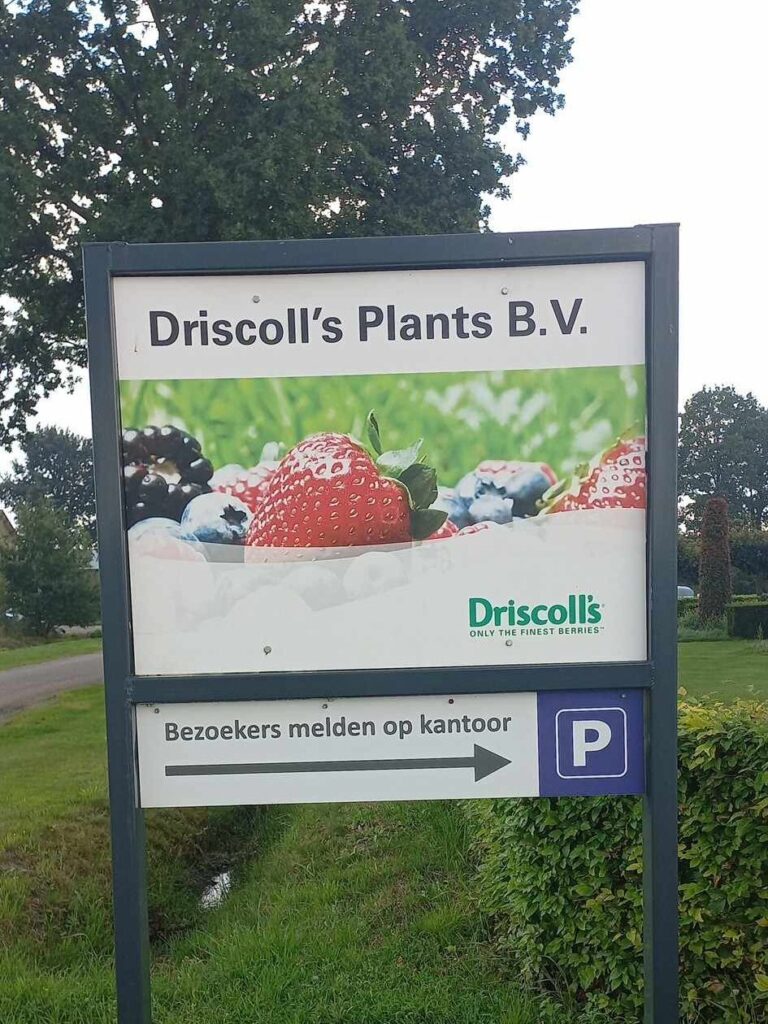 Driscoll's Plants B.V.