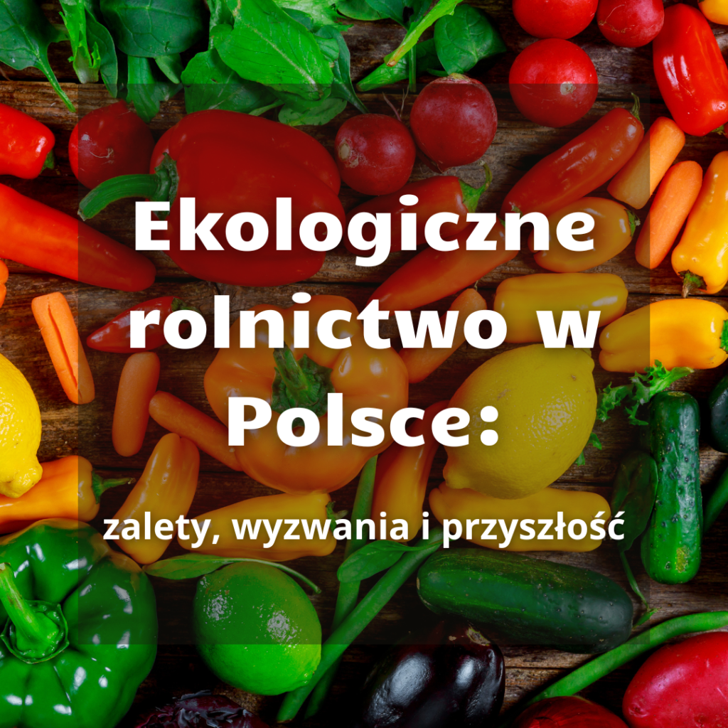 Ekologiczne rolnictwo w Polsce: zalety, wyzwania i przyszłość